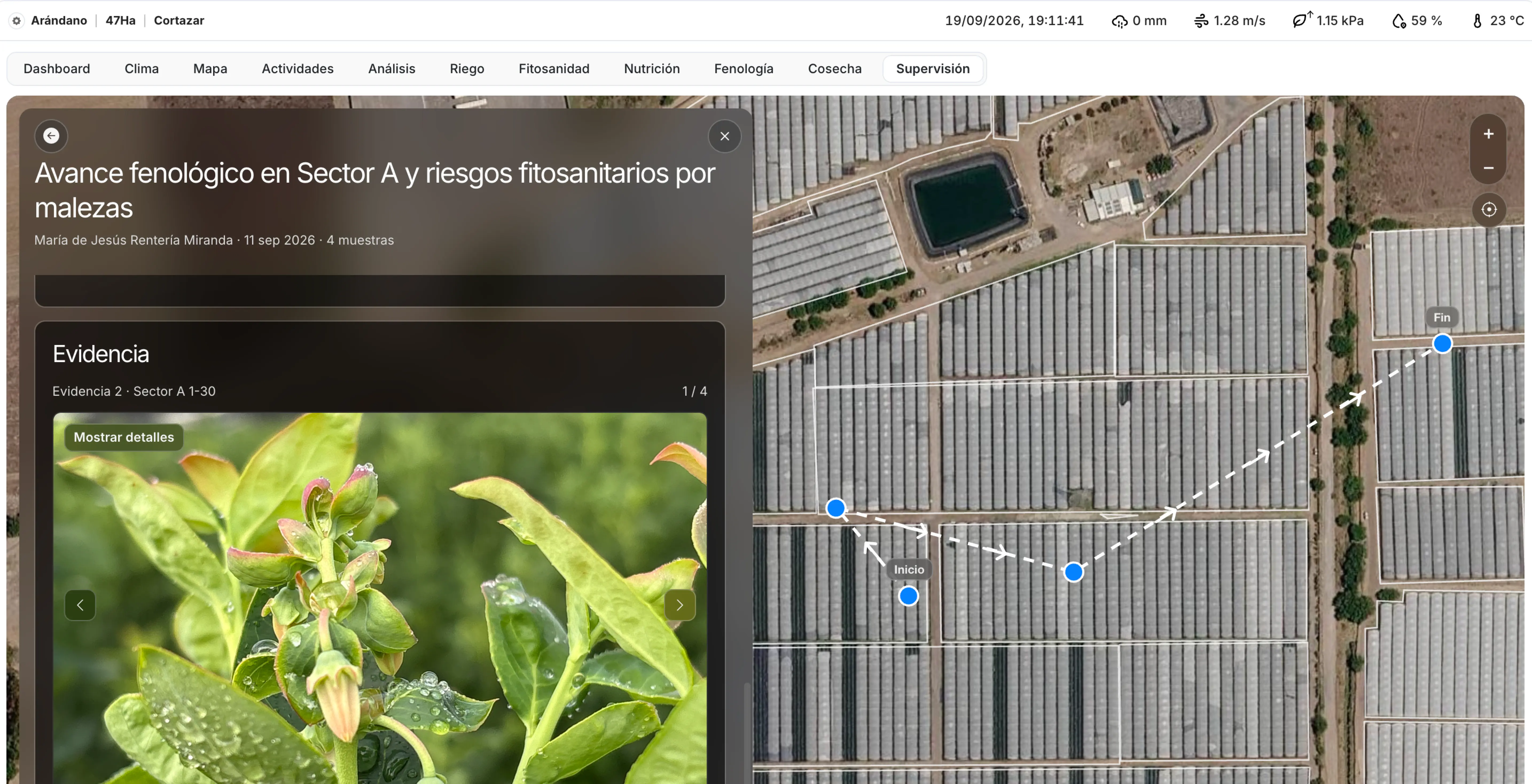 Supervisión de reportes de campo convertidos en tareas
